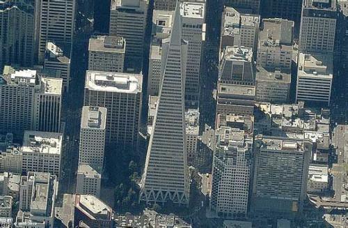 �y�L����