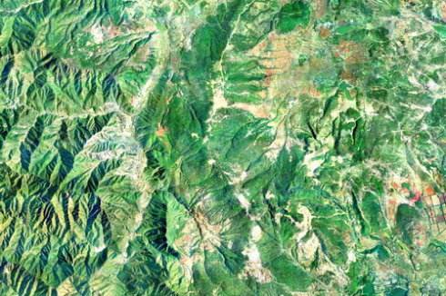 �y(c��)�L����