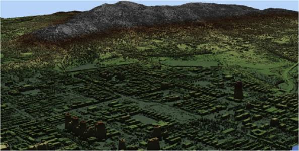 �y�L����